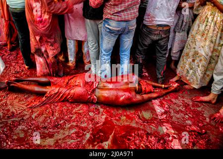 Mathura, Uttar Pradesh, India. 12th Mar 2022. Un devoto indù visto giacere a terra al Tempio Radharani di Nandgaon durante il festival. Holi Festival of India è una delle più grandi feste colorate in India come molti turisti e devoti si riuniscono per osservare questo evento colorato. Segnando l'inizio della primavera, la festa celebra l'amore divino di Radha e Krishna e rappresenta la vittoria del bene sul male. (Credit Image: © Avishek Das/SOPA Images via ZUMA Press Wire) Foto Stock