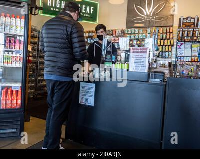 Woodinville, WA USA - circa Febbraio 2022: Vista di un giovane uomo adulto che acquista marijuana all'interno del negozio di erbacce di Leaf superiore Foto Stock