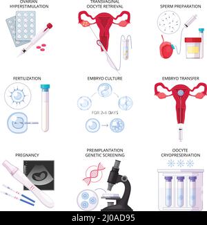 Set di icone IVF per fertilizzazione in vitro piatta e isolata con fertilizzazione gravidanza trasferimento di colture embrionali e altre descrizioni illustrazione vettoriale Illustrazione Vettoriale