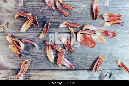 Petali tulipani su sfondo di legno in stile grunge. Foto Stock