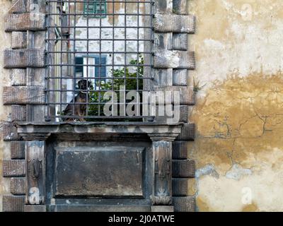 Vecchia parete con barre metalliche Foto Stock