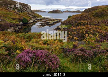 Paesaggio costiero, South Uist, Ebridi esterne, Scotl Foto Stock