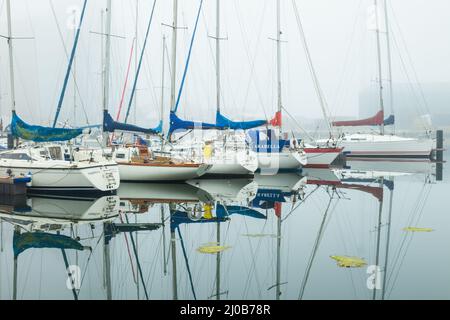 Misty mattina a Shoreham Port, West Sussex, Inghilterra. Foto Stock