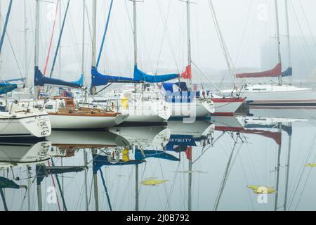 Mattina di nebbia al Porto di Shoreham, Southwick, West Sussex, Inghilterra. Foto Stock