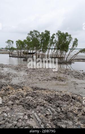 Il villaggio di Pratab Nagar è gravemente colpito dai cambiamenti climatici, tra cui l'aumento dei livelli delle acque, l'erosione e la salinizzazione. Provincia di Satkhira, Bangladesh. Foto Stock