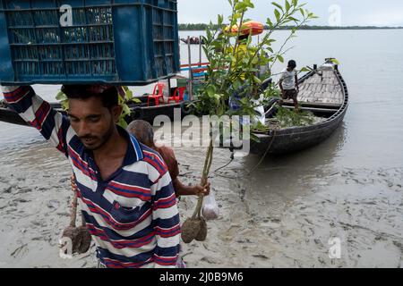 Il villaggio di Pratab Nagar è gravemente colpito dai cambiamenti climatici, tra cui l'aumento dei livelli delle acque, l'erosione e la salinizzazione. Provincia di Satkhira, Bangladesh. Foto Stock