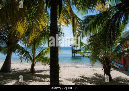 Piccola capanna in legno su palafitte nel mare di spiaggia di sabbia bianca di nascondersi dietro palme Foto Stock