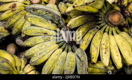 Acerbi Cardava verde e giallo delle banane per la vendita al mercato locale in Indonesia Foto Stock