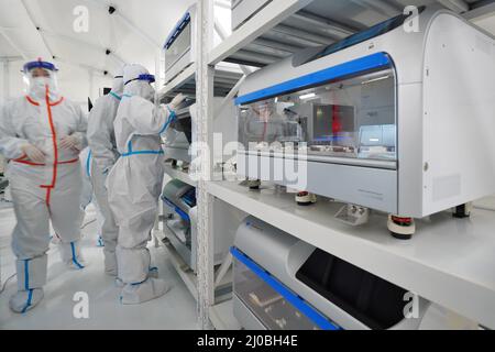 Yantai, Cina. 18th Mar 2022. La sera del 17 marzo 2022, lo staff ha installato e debugged attrezzature nel laboratorio ''Huoyan'' di Yantai, Shandong. Il 18 marzo 2022, dopo la costruzione notturna, il laboratorio di analisi degli acidi nucleici ''Huoyan'' con una capacità giornaliera di 60.000 provette singole è stato sostanzialmente completato nel Yantai Gymnasium, provincia di Shandong. Attualmente, il personale sta intensificando l'installazione e la messa in servizio di apparecchiature, che possono soddisfare fino a 600.000 esigenze di analisi degli acidi nucleici al giorno dopo la messa in funzione. Credit: ZUMA Press, Inc./Alamy Live News Foto Stock