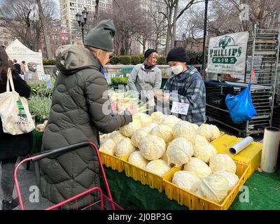 La donna acquista un buon cavolo bianco all'Union Square Farmers Market durante l'inverno a Manhattan, New York City. Foto Stock