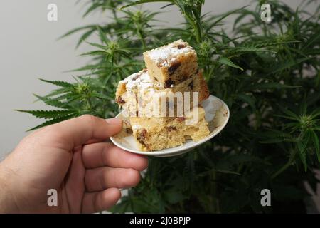 Torta fatta in casa e zucchero in polvere con olio CBD. Cucina di cannabis. Torta di marijuana su tavola bianca e sfondo di erbe. Foto Stock