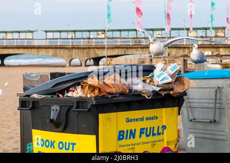 Inghilterra, Dorset, Bournemouth, Bournemouth Seafront, Seagulls che si nutrono di rifiuti traboccanti Foto Stock