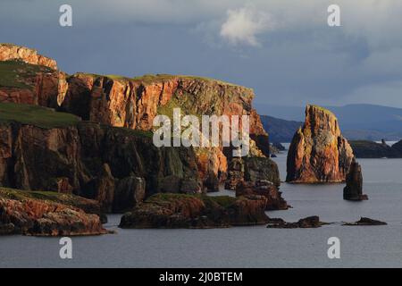 Scogliere di Neap, penisola di Eshaness, Shetland, Scozia Foto Stock