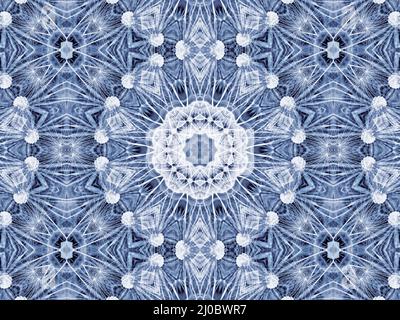 Disegno radiale astratto di grande fiore naturale di dente di leone Foto Stock