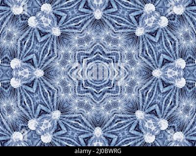 Disegno radiale astratto di grande fiore naturale di dente di leone Foto Stock