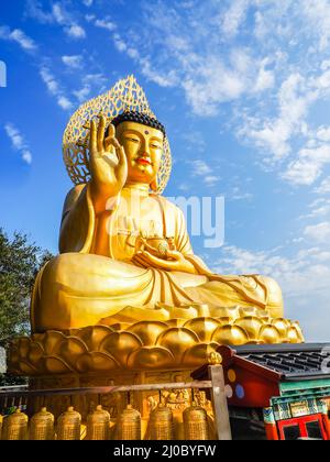 Oro Buddha Gigante, principale statua del Buddha al tempio Sanbanggulsa, Sanbanggulsa è in Jeju-Do, Jeju Island in Corea del Sud Foto Stock