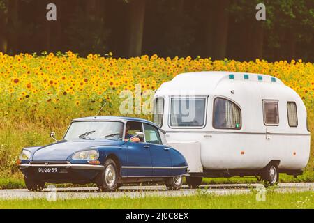 DIEREN, PAESI BASSI - 14 AGOSTO 2016: Immagine retrò di una Citroen DS vintage con caravan su una strada locale di fronte ad un campo con girasoli Foto Stock