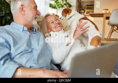 Felice coppia in pensione con il cane piccolo come animale domestico in soggiorno al computer portatile Foto Stock
