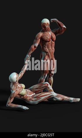 3D rappresentazione di figure maschili e femminili posa con mappa della pelle e del muscolo su sfondo scuro con tracciato di clipping.progetto di concetto di relazione. Foto Stock