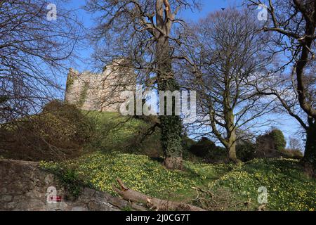 Rovine del castello a Hawarden Park, Hawarden Estate, Galles del Nord Foto Stock