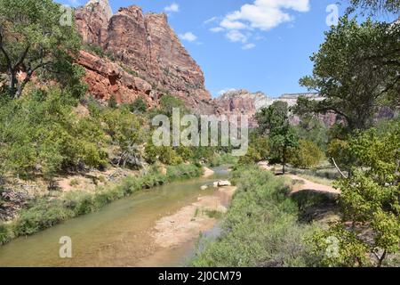 09-02 Zion National Park (Lower Emerald Pool Hike) (3).JPG Foto Stock