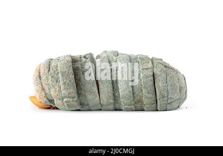 Filone di pane ammuffito isolato. Intero filone di pane coperto con spore o muffe di funghi di colore verde, blu o grigiastro. Concetto di cibo viziato, rott Foto Stock