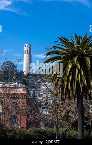 Coit Tower San Francisco, California, Foto Stock