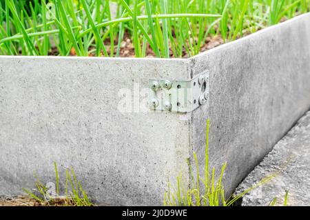 metodo di fissaggio di alti letti fatti a mano in un orto pubblico. L'aglio cresce su un letto alto e contribuisce a migliorare la crescita delle verdure Foto Stock