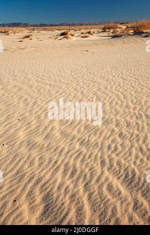 Dune di sabbia, Camp Cady state Wildlife Area, California Foto Stock