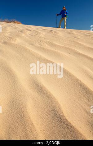 Dune di sabbia, Camp Cady state Wildlife Area, California Foto Stock