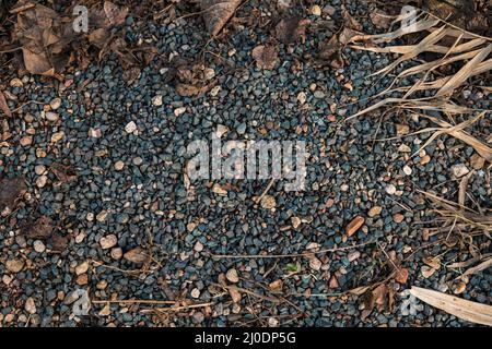 Una parte superiore di sfondo di ciottoli blu e foglie in autunno Foto Stock