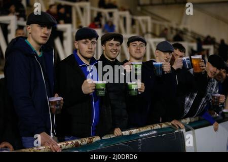 Newcastle, Regno Unito. 12th Mar 2022. NEWCASTLE UPON TYNE, REGNO UNITO. MAR 18th i sostenitori si divertono durante la partita della Premiership Cup tra Newcastle Falcons e Leicester Tigers al Kingston Park, Newcastle venerdì 18th marzo 2022. (Credit: Chris Lishman | MI News) Credit: MI News & Sport /Alamy Live News Foto Stock