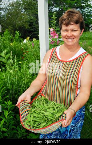 Donna contadina di mezza età che indossa grembiule che porta freschi zucchero Ann zucchero snap piselli, in giardino, Browntown, Wisconsin, Stati Uniti Foto Stock