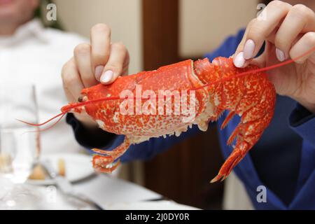 La ragazza tiene un'aragosta in un ristorante Foto Stock