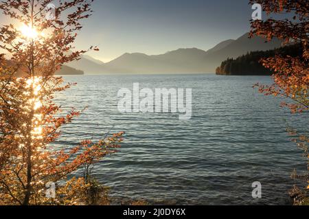 Alberi d'autunno vicino ad un lago al tramonto Foto Stock