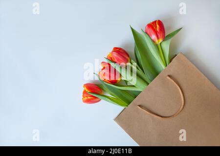 tulipani rossi al sacchetto di carta. Fiori colorati. Rosso e bianco. Vista dall'alto con spazio per il testo Foto Stock