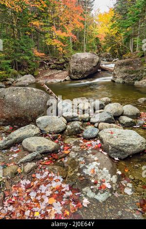 Phelps Brook in autunno lungo il Van Hoevenberg Trail, Adirondack Park, Essex County, New Yorkw Foto Stock