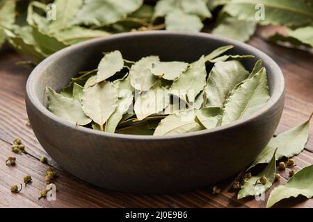 Ciotola di legno di foglie di alloro essiccate. Ramo e ramoscelli di foglie di baia verde sullo sfondo. Foto Stock