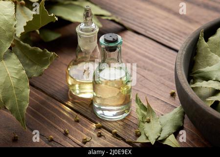 Bottiglie olio essenziale alloro naturale. Ciotola di legno di foglie di alloro essiccate. Ramo e ramoscelli di foglie di baia verde. Foto Stock