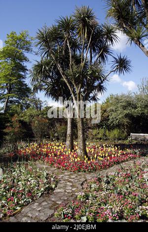 Giardini botanici di Singleton Park, Swansea, Galles Foto Stock