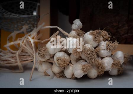 Un mazzo di aglio essiccato organicamente Foto Stock