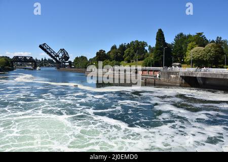 Hiram M. Chittenden Locks (Ballard Locks) a Seattle, Washington Foto Stock