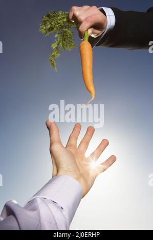 Un uomo che raggiunge per una carota Foto Stock