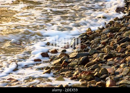 Piccole pietre sulla riva con la schiuma Foto Stock