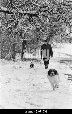 Il tempo severo ha colpito Birmingham, West Midlands, su Bank Holliday lunedì 2nd maggio 1979.(Picture) uomo che cammina il suo cane in condizioni di neve. Foto Stock