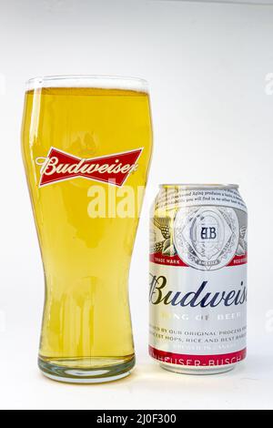 Calgary, Alberta. Canada. Maggio 25, 2020. Una pinta di birra Budweiser isolata con una birra alla lattina sulla destra su sfondo bianco Foto Stock