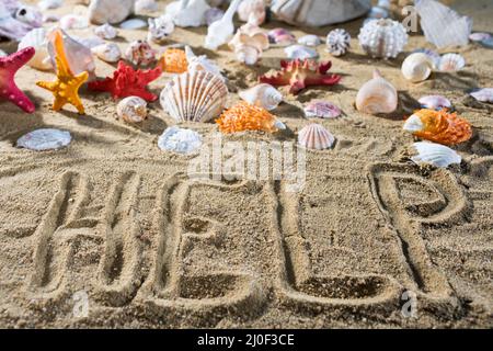 Sulla spiaggia di sabbia c'è un'iscrizione - help. Spiaggia sabbiosa di una spiaggia di mare piena di conchiglie abbandonate. Foto Stock