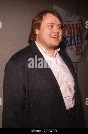 Louie Anderson al Comic Relief III' il 18 marzo 1989 all'Anfiteatro universale di Universal City, California Credit: Ralph Dominguez/MediaPunch Foto Stock