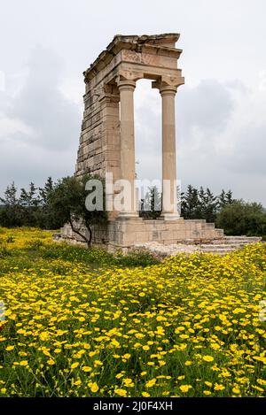 Antiche colonne di Apollon Hylates, santuario nel distretto di Limassol, Cipro Foto Stock