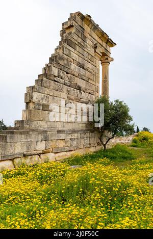 Antiche colonne di Apollon Hylates, santuario nel distretto di Limassol, Cipro Foto Stock